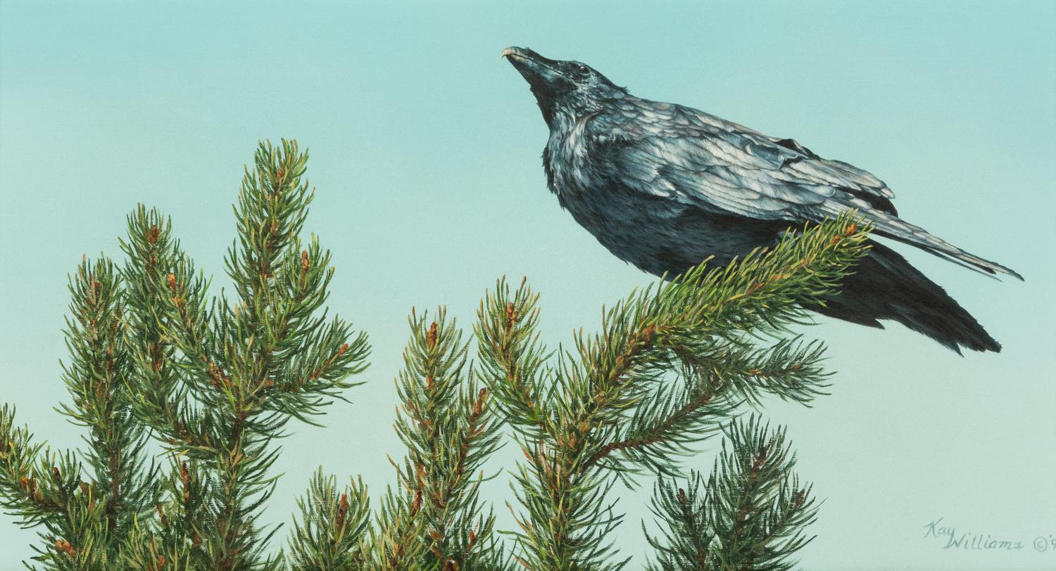 The Raven , 1997