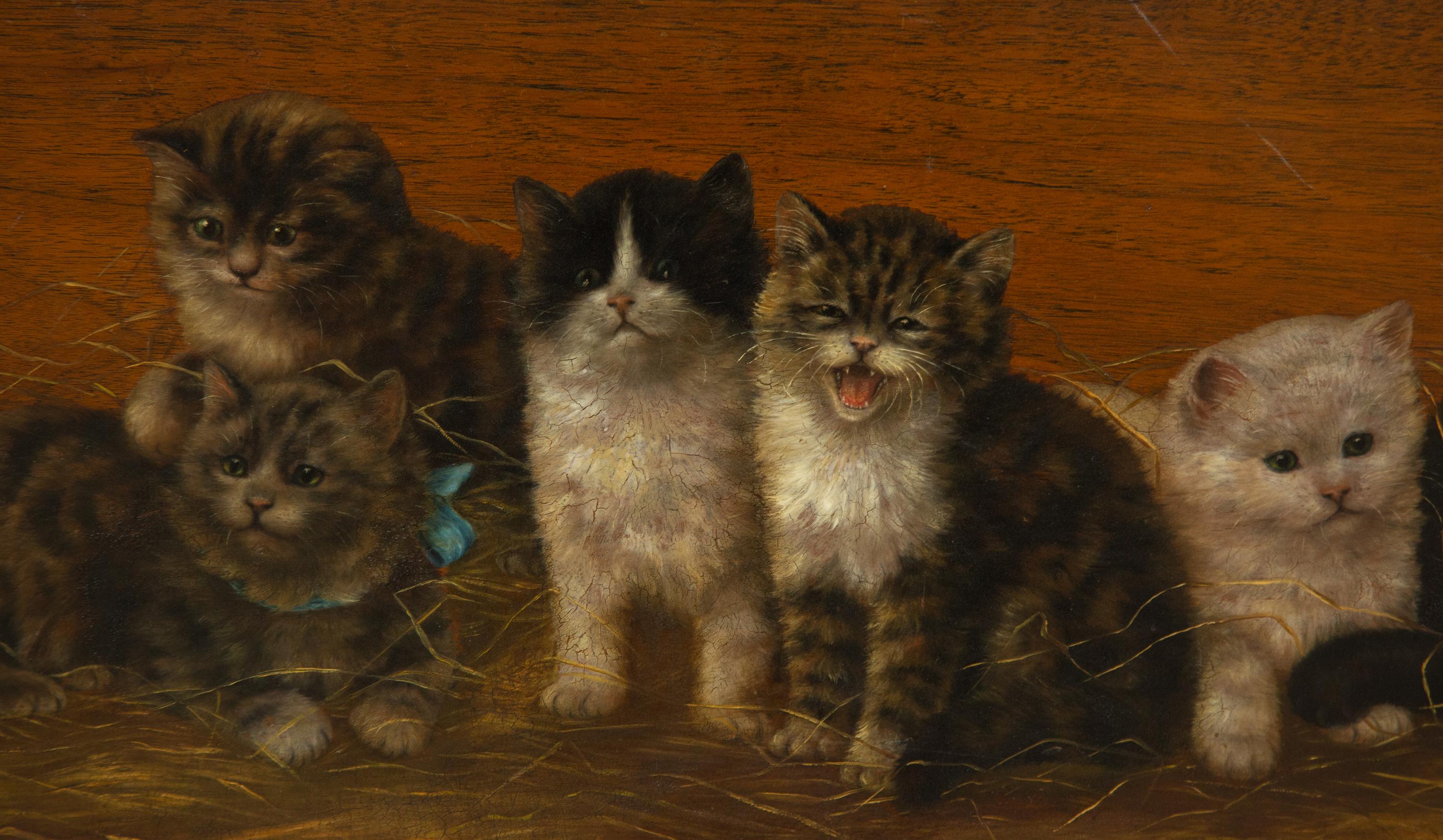 A Row of Eight Kittens , 1911