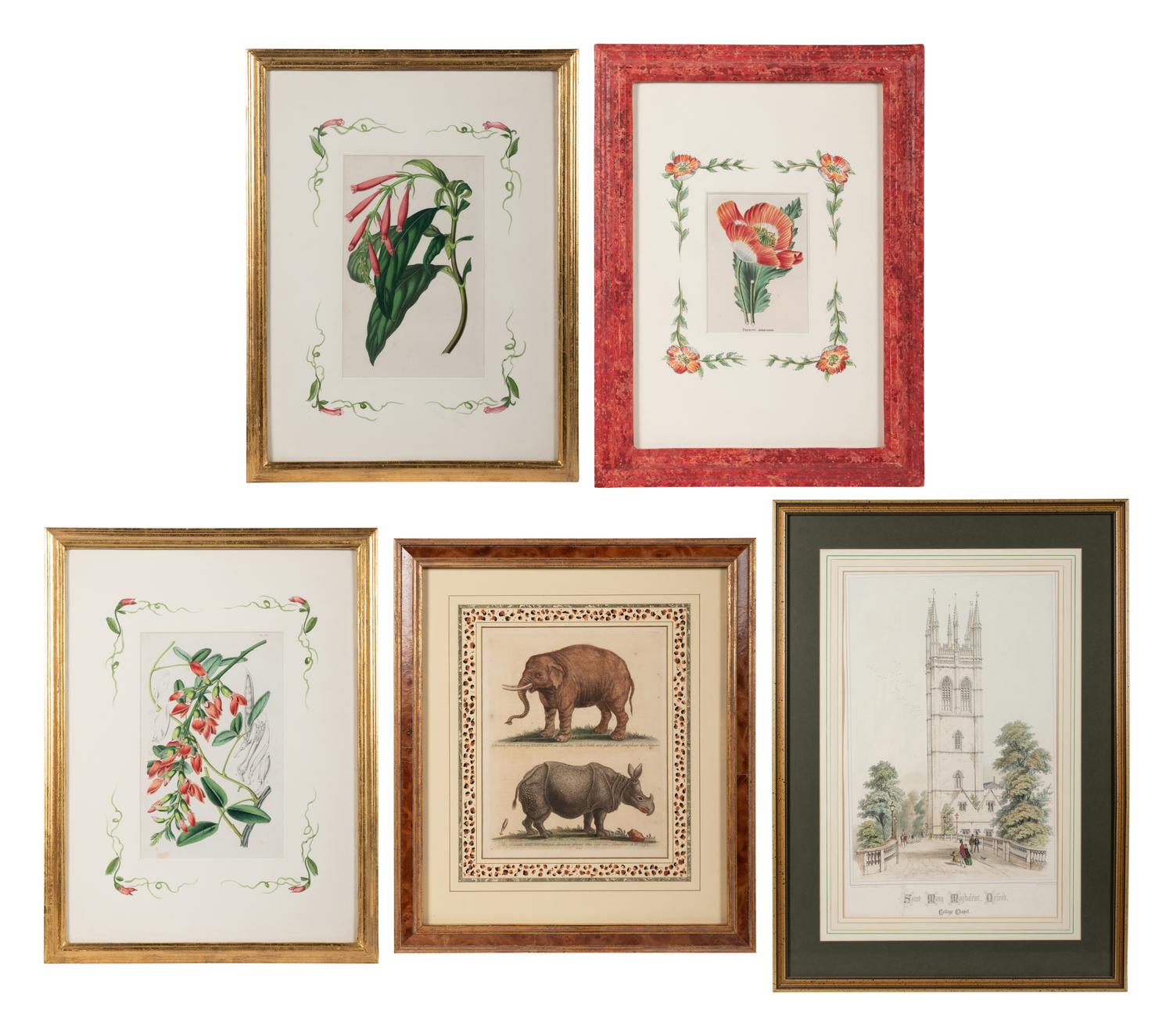 Six Hand-Colored Engravings