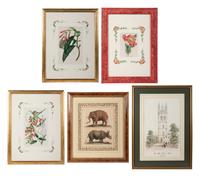 Six Hand-Colored Engravings