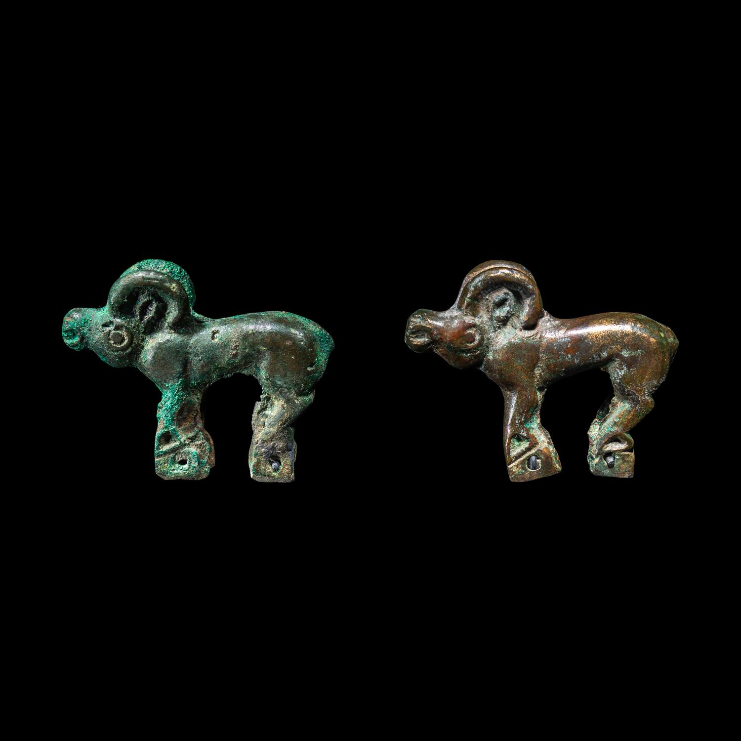 A Pair of Eurasian Bronze Ibexes