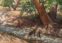 Creekbed Shadows , 2001