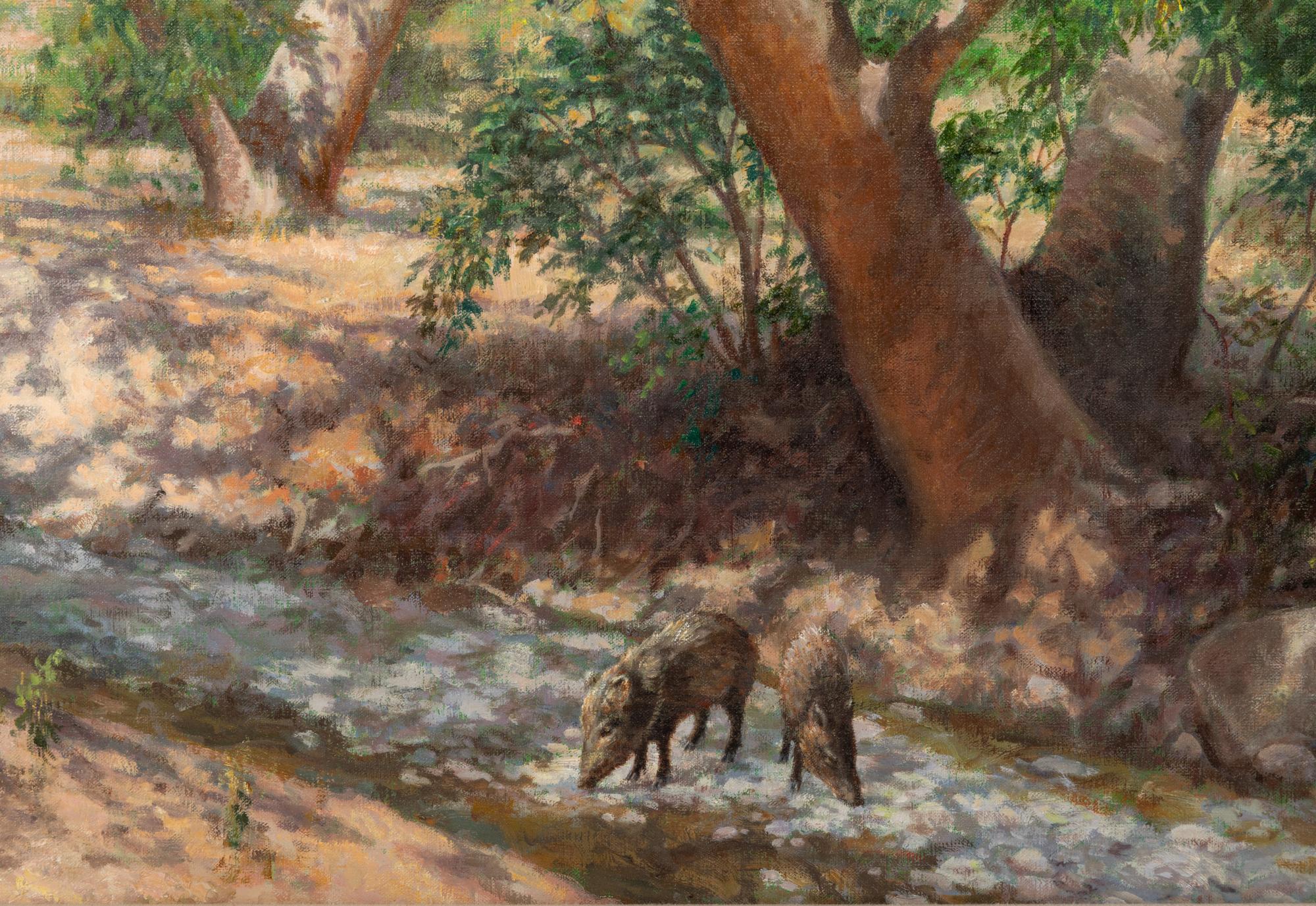 Creekbed Shadows , 2001
