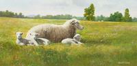 Peaceful Pastures