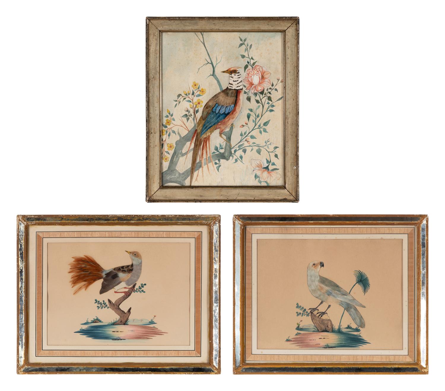 Three Illustrations of Birds