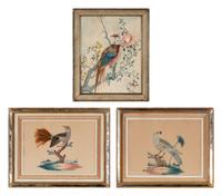 Three Illustrations of Birds