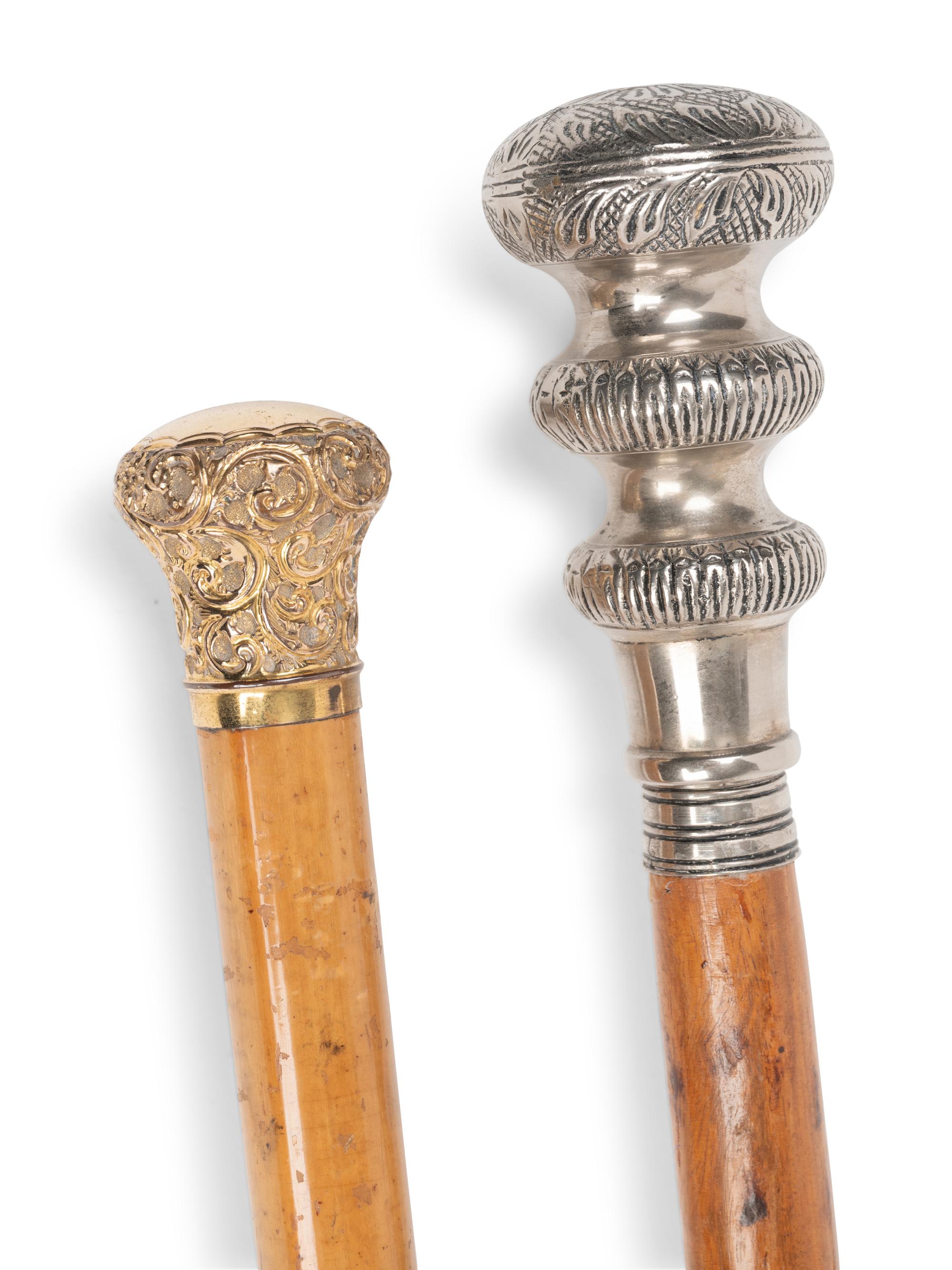 Two Metal Mounted Walking Sticks