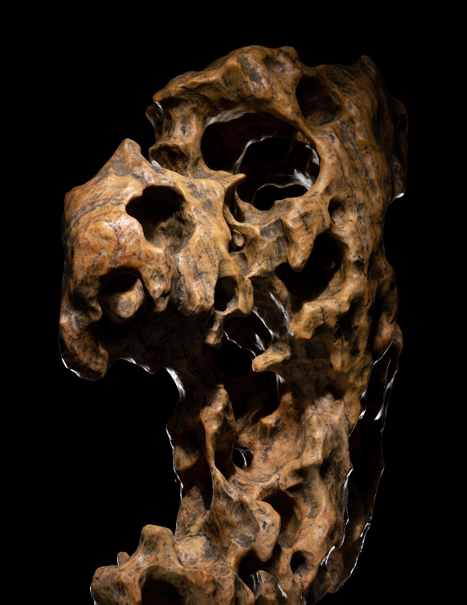 A Chinese Scholar's Rock