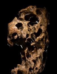 A Chinese Scholar's Rock