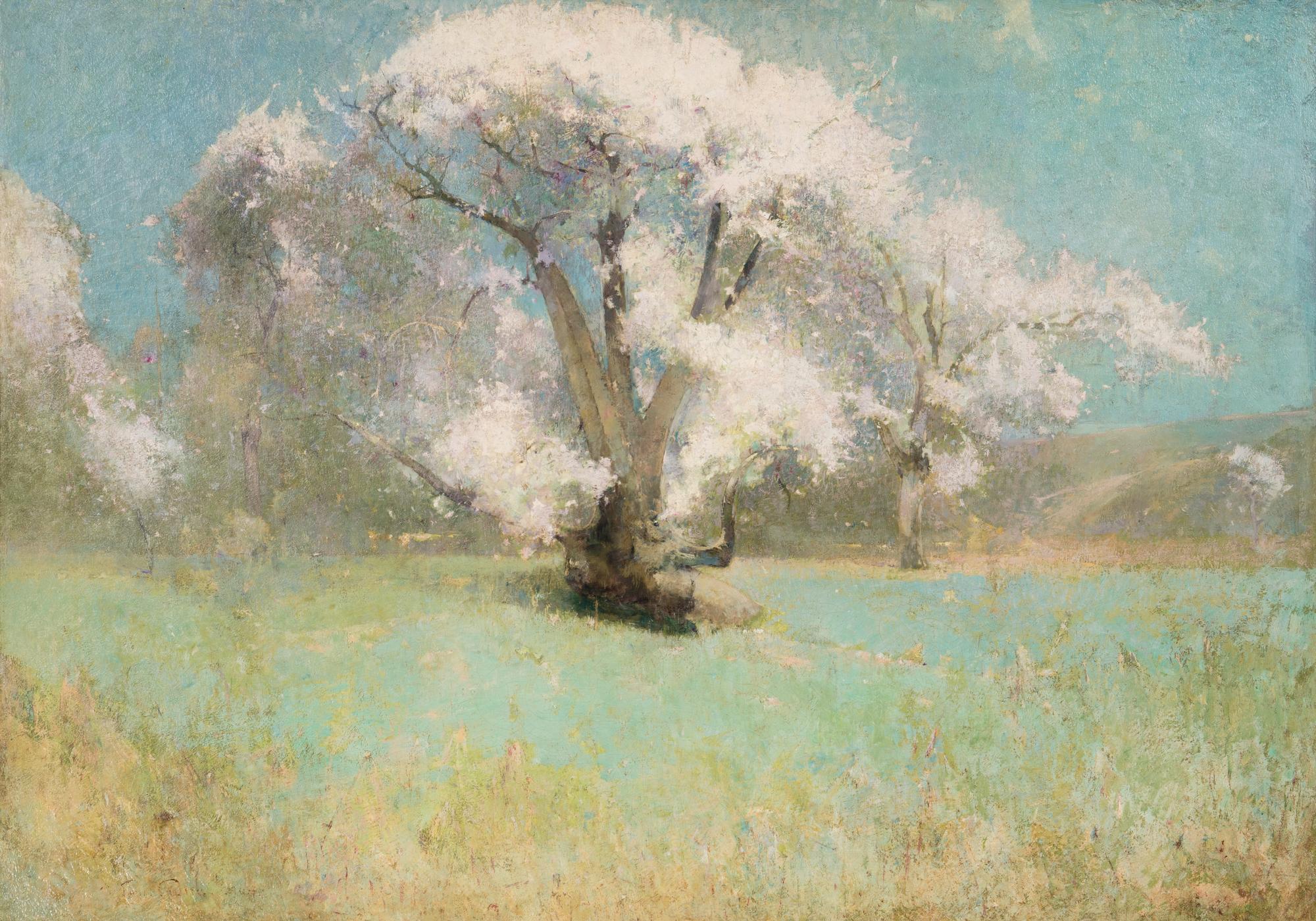 Blossoming Trees , 1904