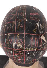 A Chalkware Phrenology Head