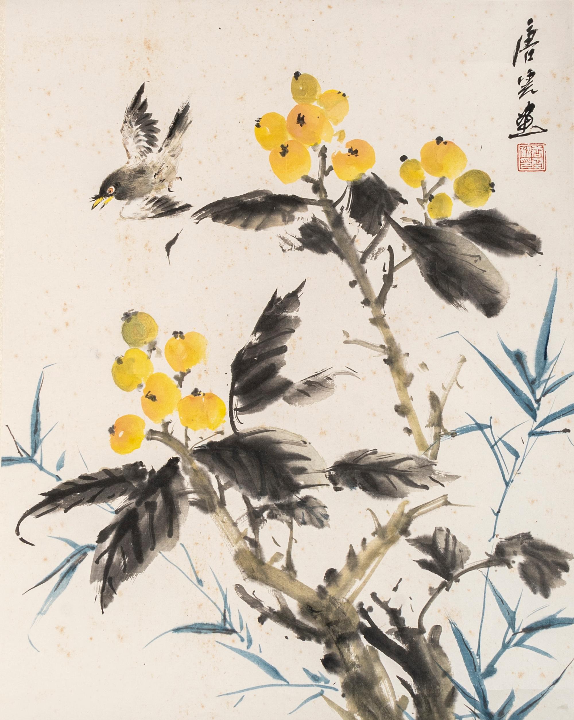 Tang Yun