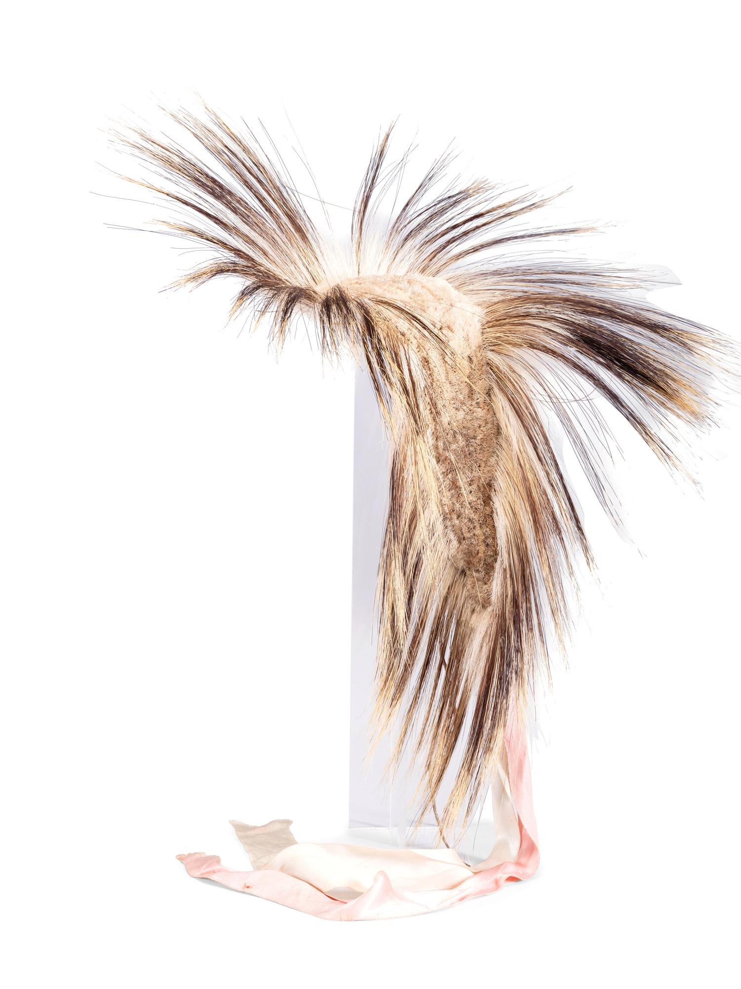 Plains Porcupine Hair Roach, with Ribbon Streamers