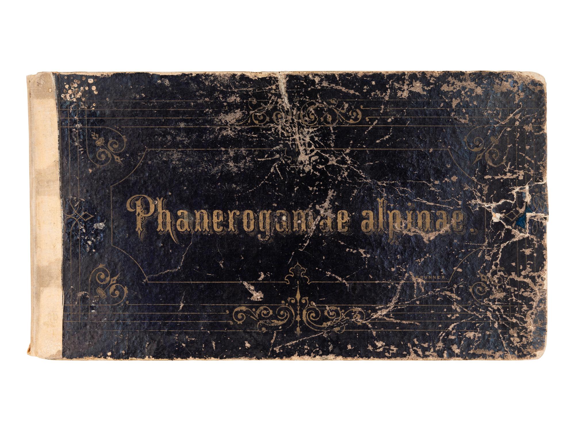 [SPECIMEN ALBUM]. "Phaneroganiae alpinae." 1869.
