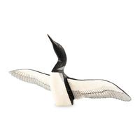 Common Loon