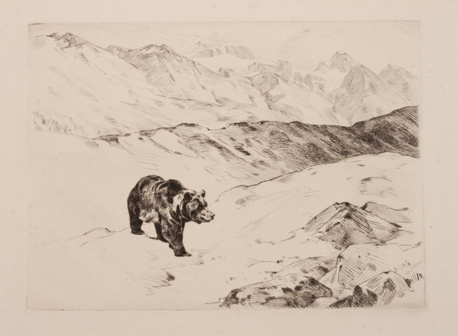 An Old Prospector