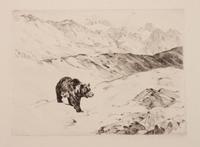 An Old Prospector