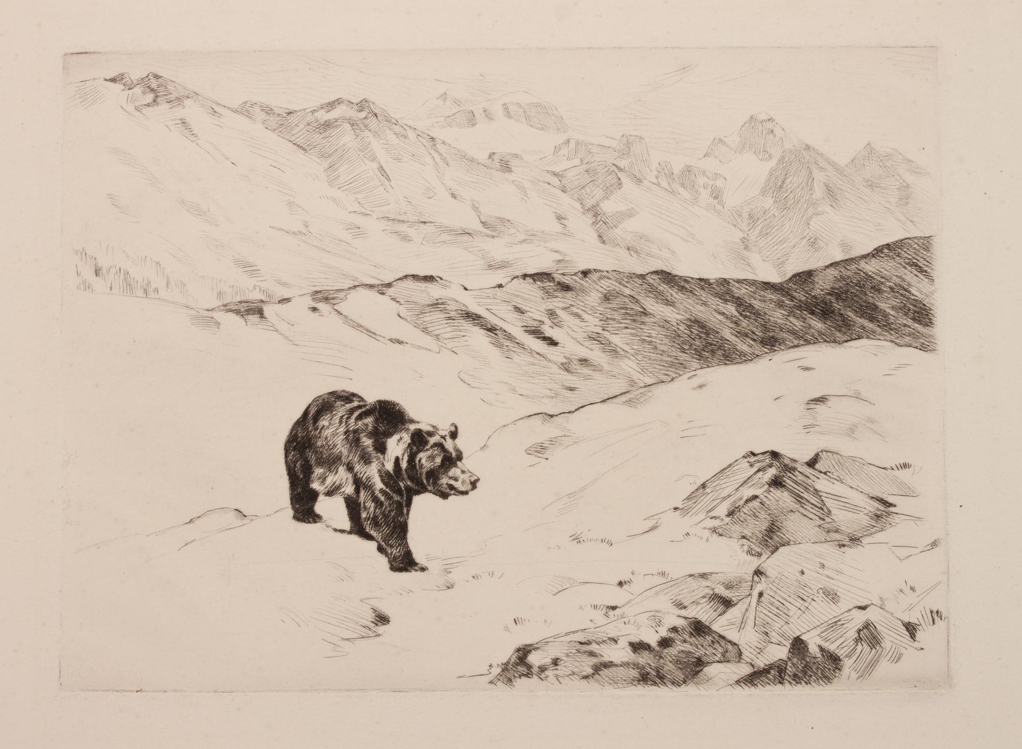 An Old Prospector