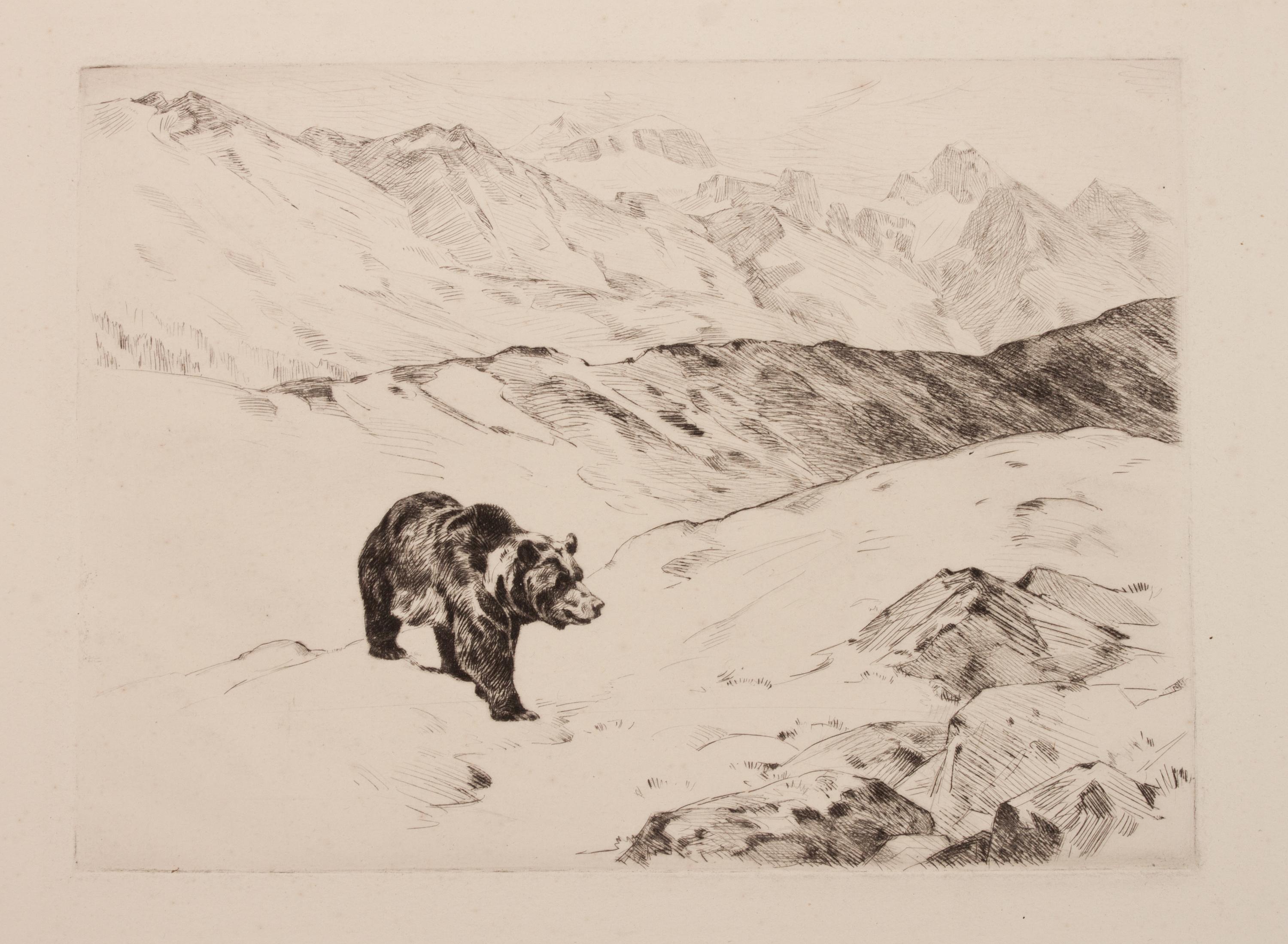 An Old Prospector