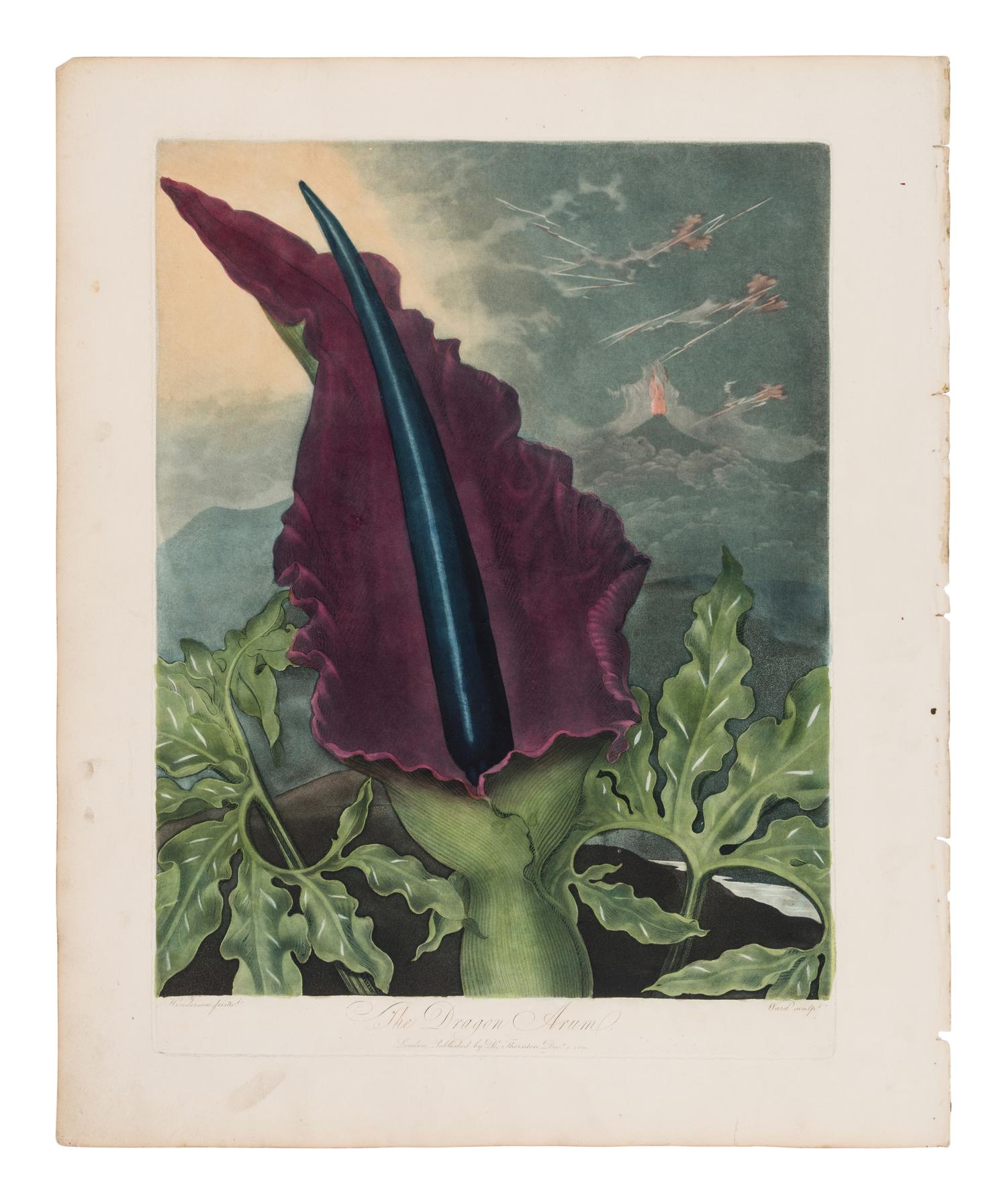 THORNTON, Robert John (1768-1837). New Illustration of the Sexual System of Carolus von Linnaeus Comprehending... and the Temple of Flora, or Garden of Nature . London: for the Publisher, by T. Bensley [1799-] 1807-[1812].