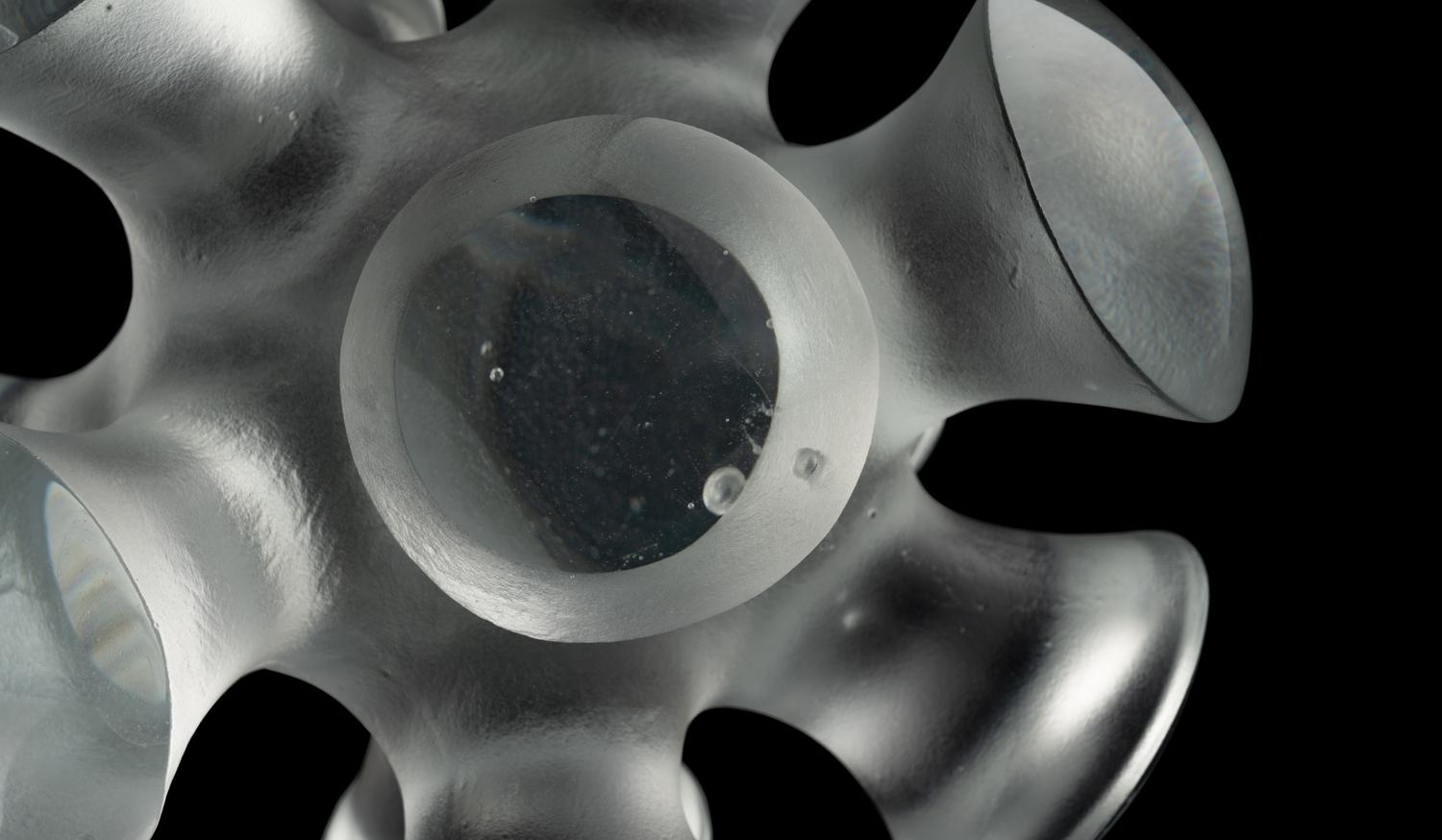 Amoeba , 2005