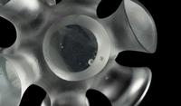 Amoeba , 2005