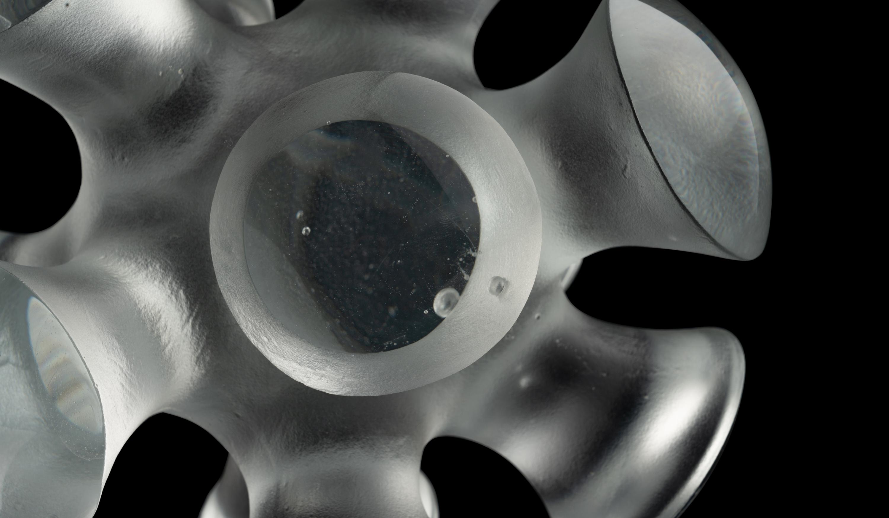 Amoeba , 2005