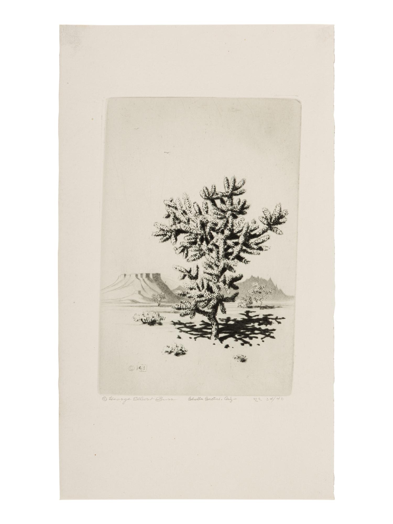 Two Works: Cholla Cactus, Arizona and Barrel Cactus
