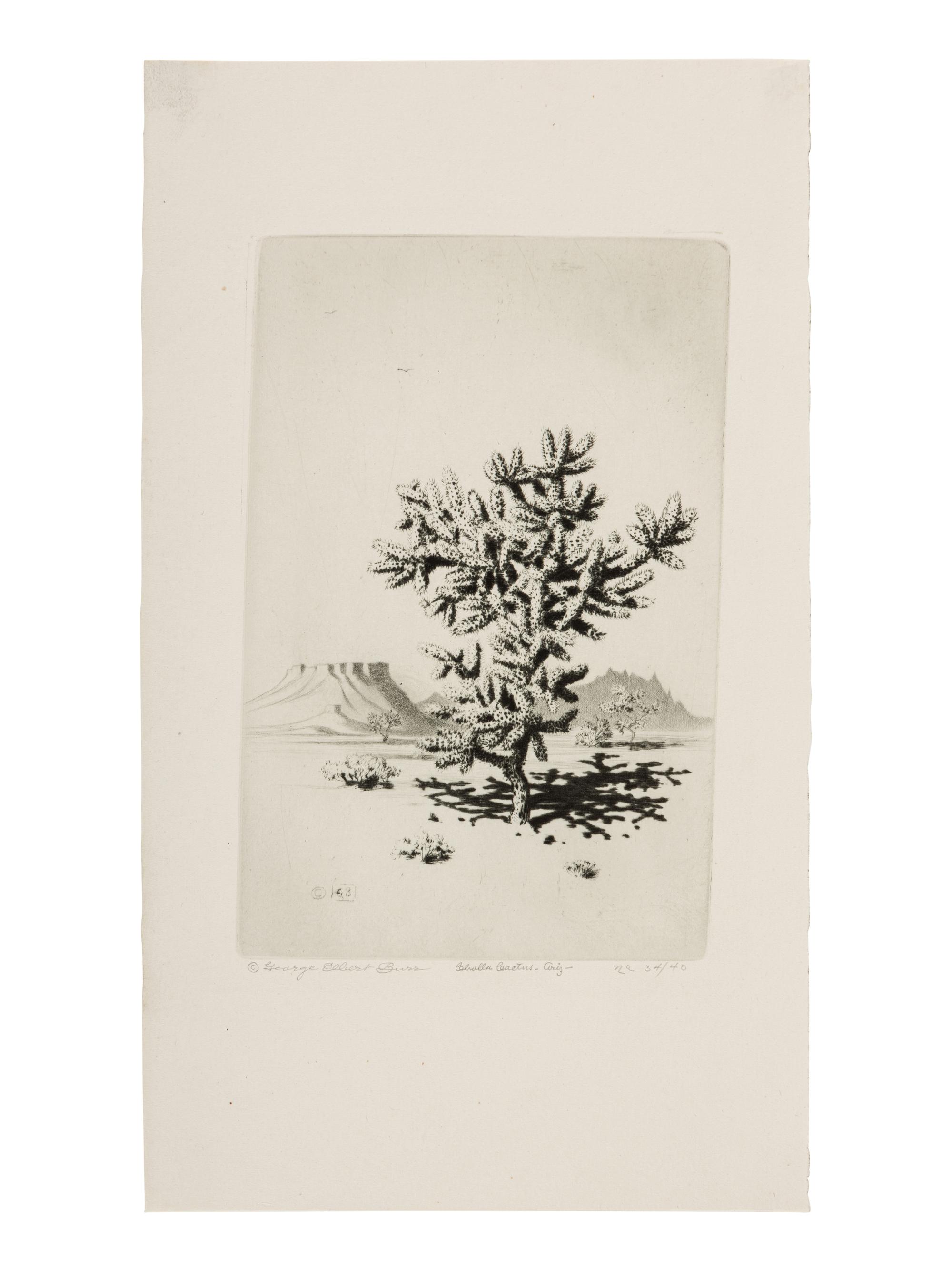 Two Works: Cholla Cactus, Arizona and Barrel Cactus