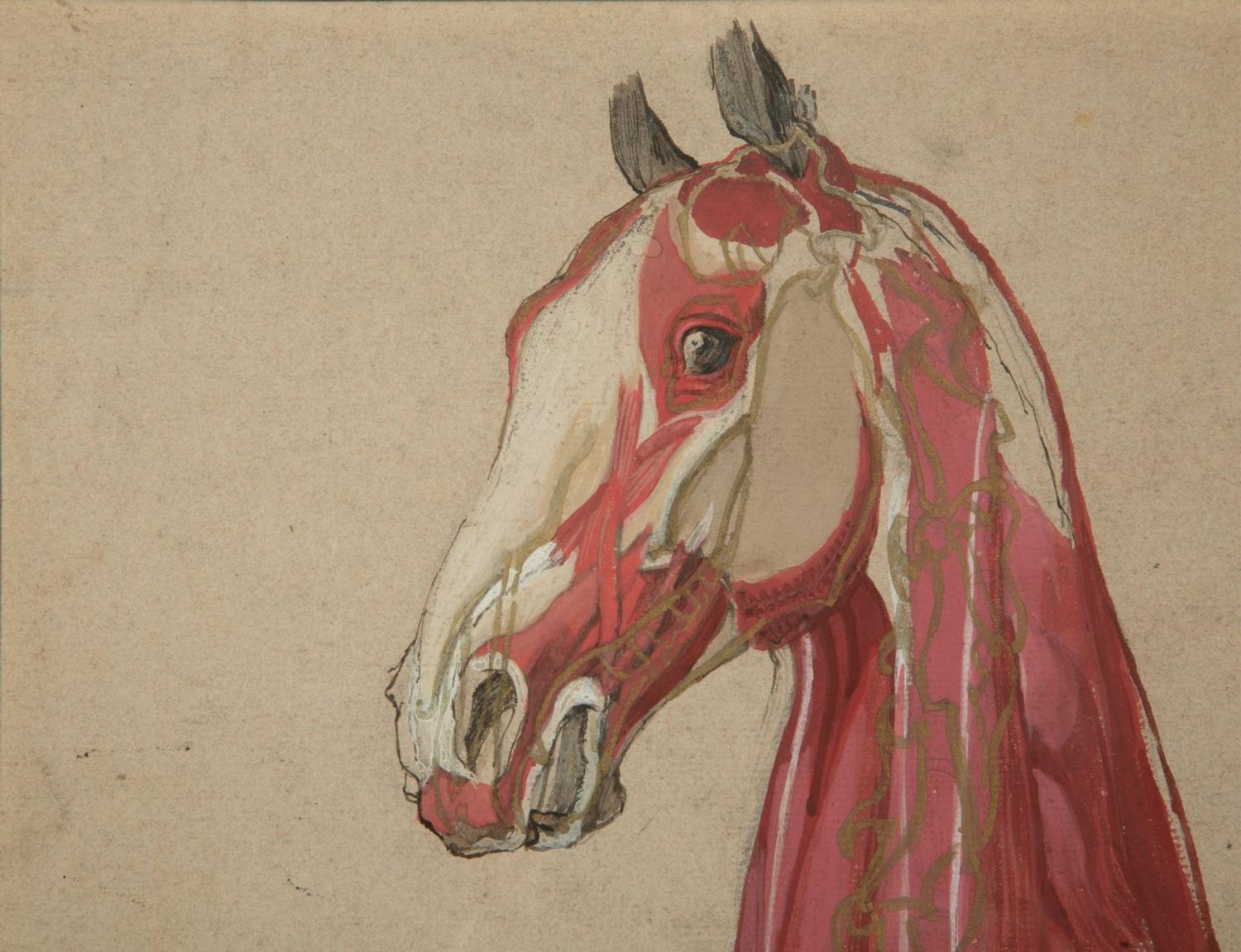 A Group of Five Pencil and Watercolor Sketches Depicting the Anatomy of Equine — 20TH CENTURY
