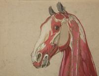 A Group of Five Pencil and Watercolor Sketches Depicting the Anatomy of Equine — 20TH CENTURY