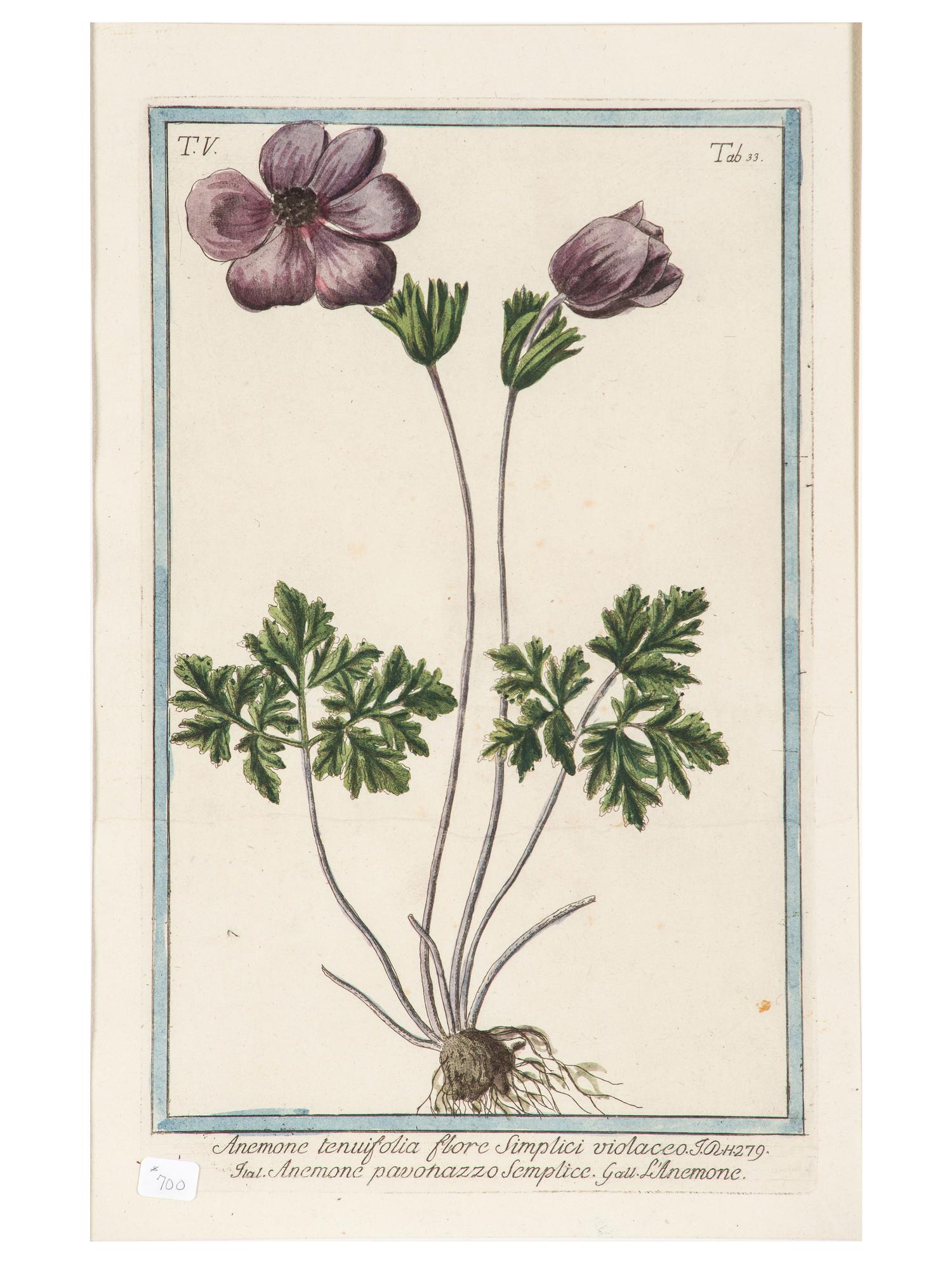 Giorgio Bonelli (Italian, 1724-1782)