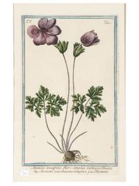 Giorgio Bonelli (Italian, 1724-1782)