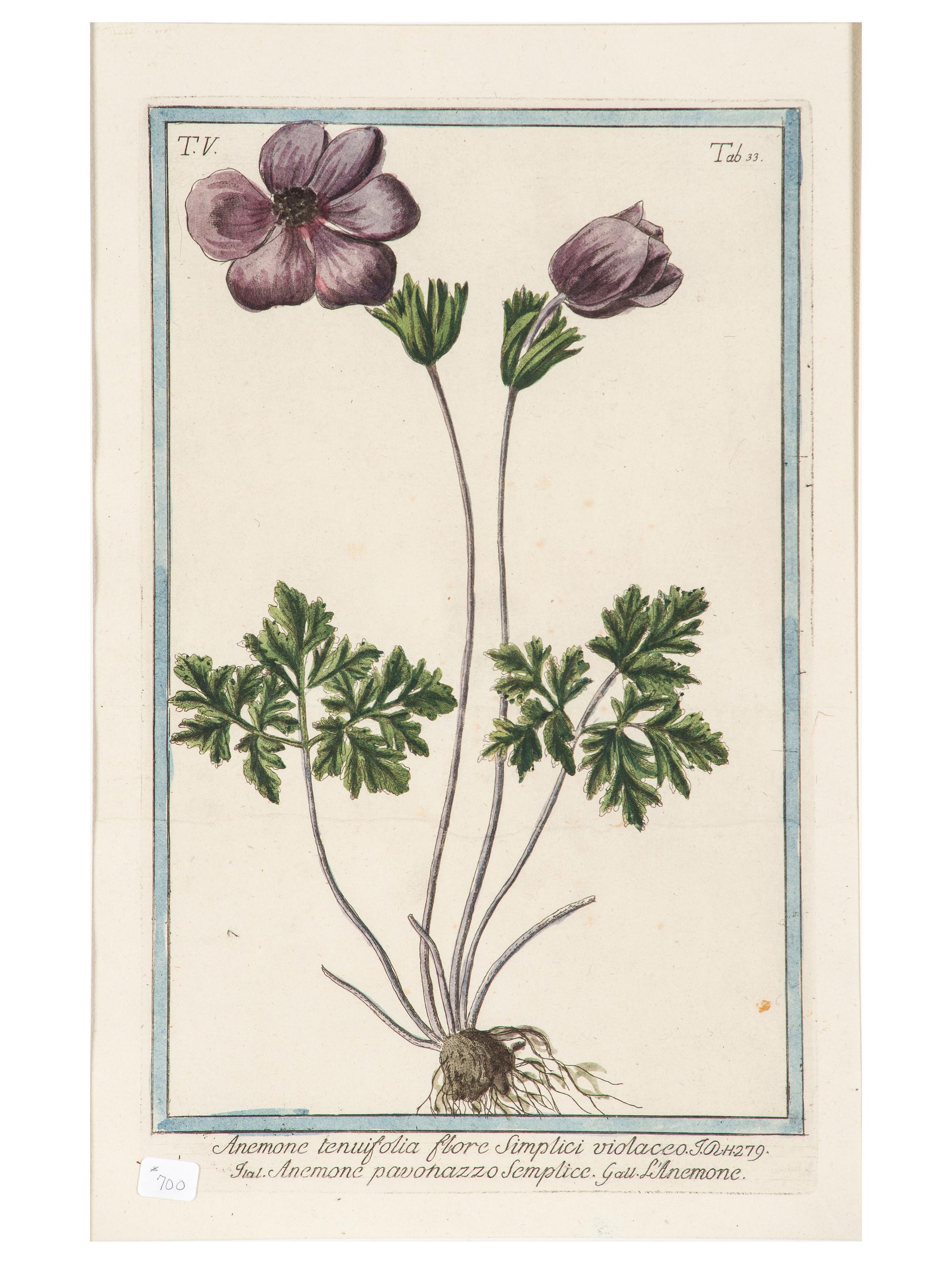 Giorgio Bonelli (Italian, 1724-1782)