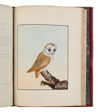 [NATURAL HISTORY]. LEWIN, William (1747-1795). The Birds of Great-Britain with their Eggs . London: Printed for the author, 1789-1794.