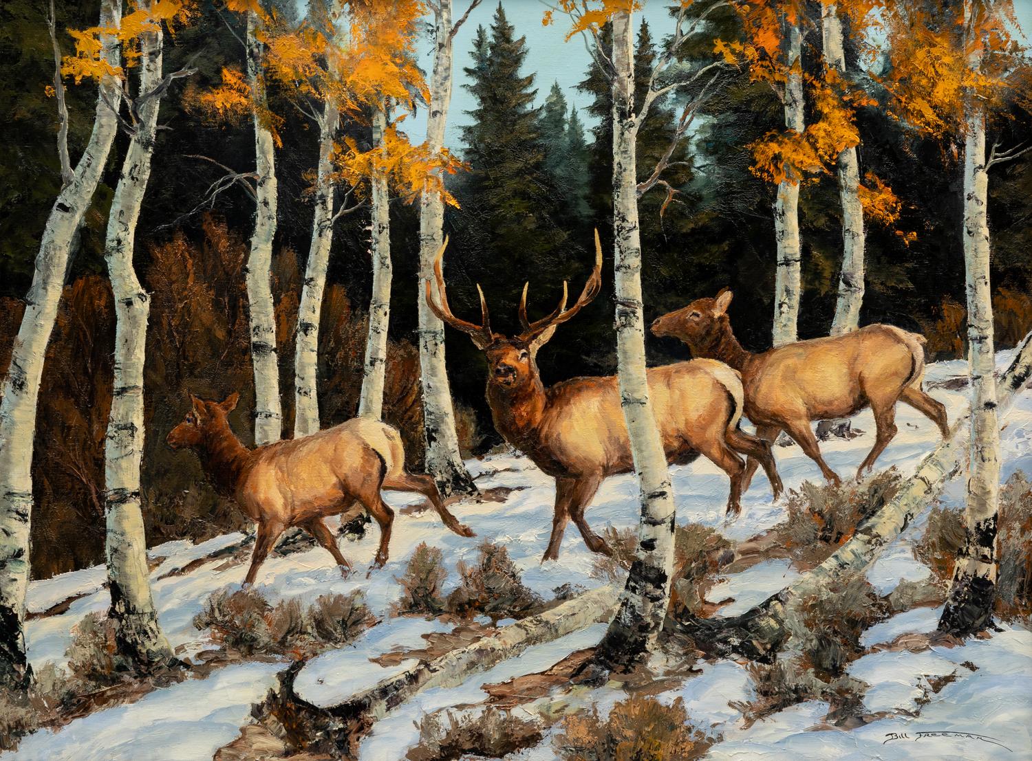 Deer in Winter