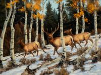 Deer in Winter