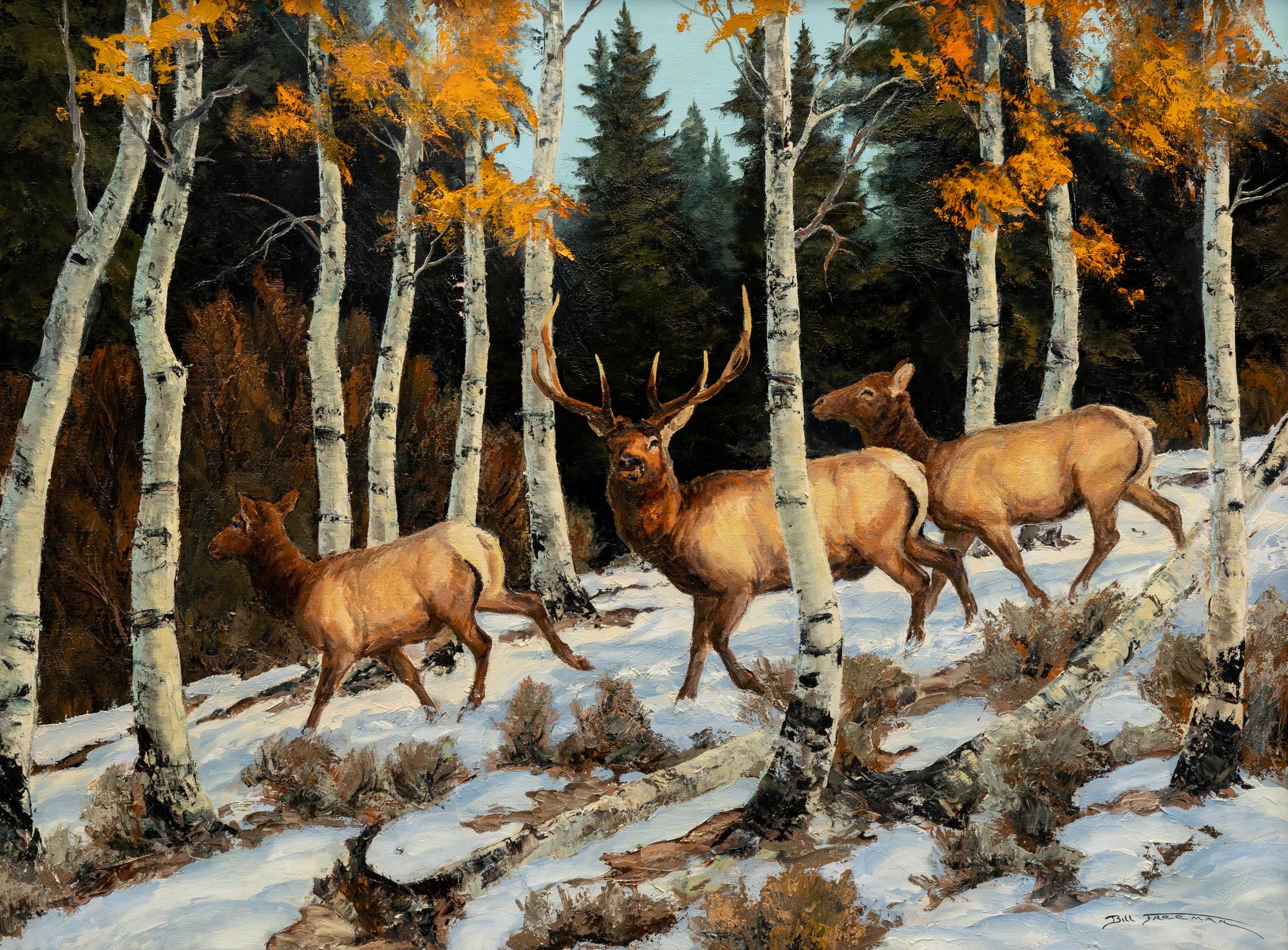 Deer in Winter
