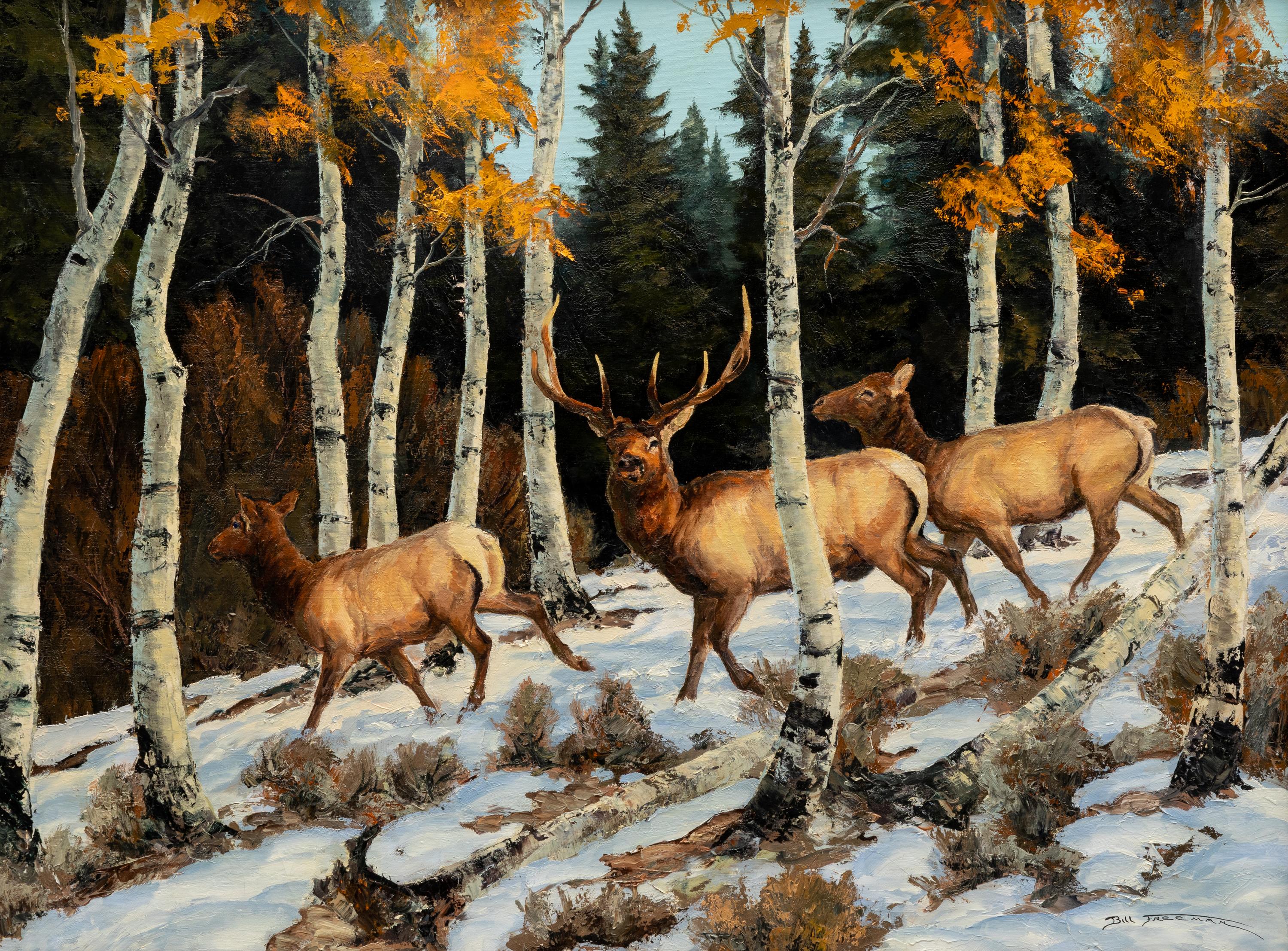 Deer in Winter