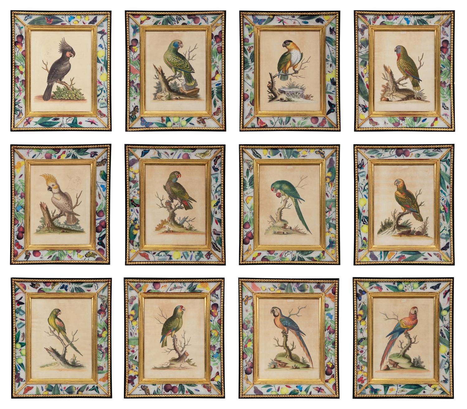 A Set of Twelve Hand-Colored Engravings of Parrots from A Natural History of Uncommon Birds by George Edwards (English, 1694-1773)