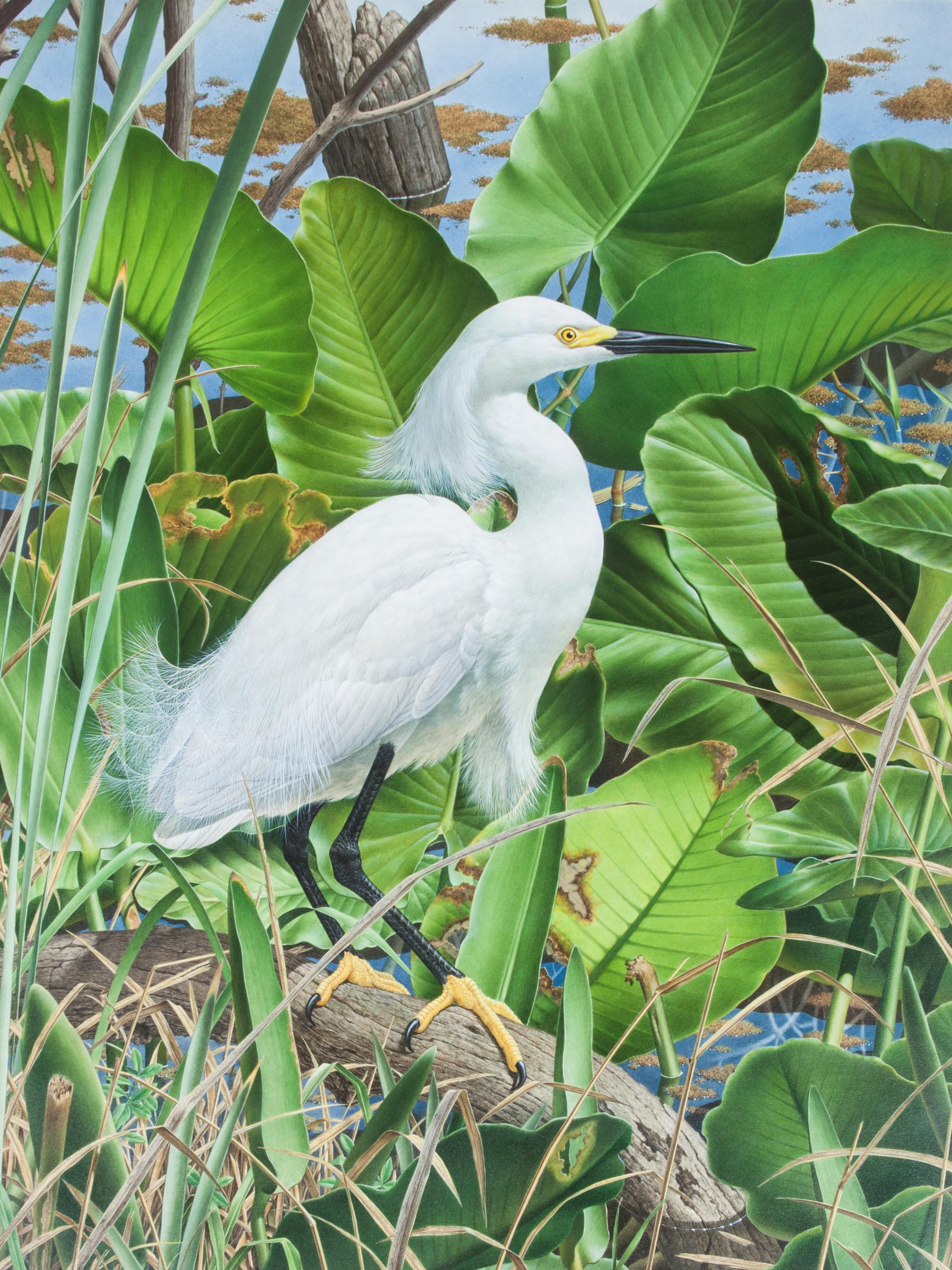 Axel Amuchastegui, (Argentinean, 1921-2002), Snowy Egret, 1983