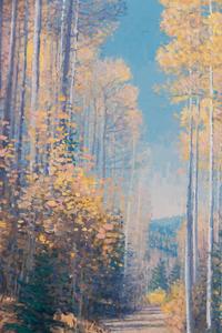 Aspen Road