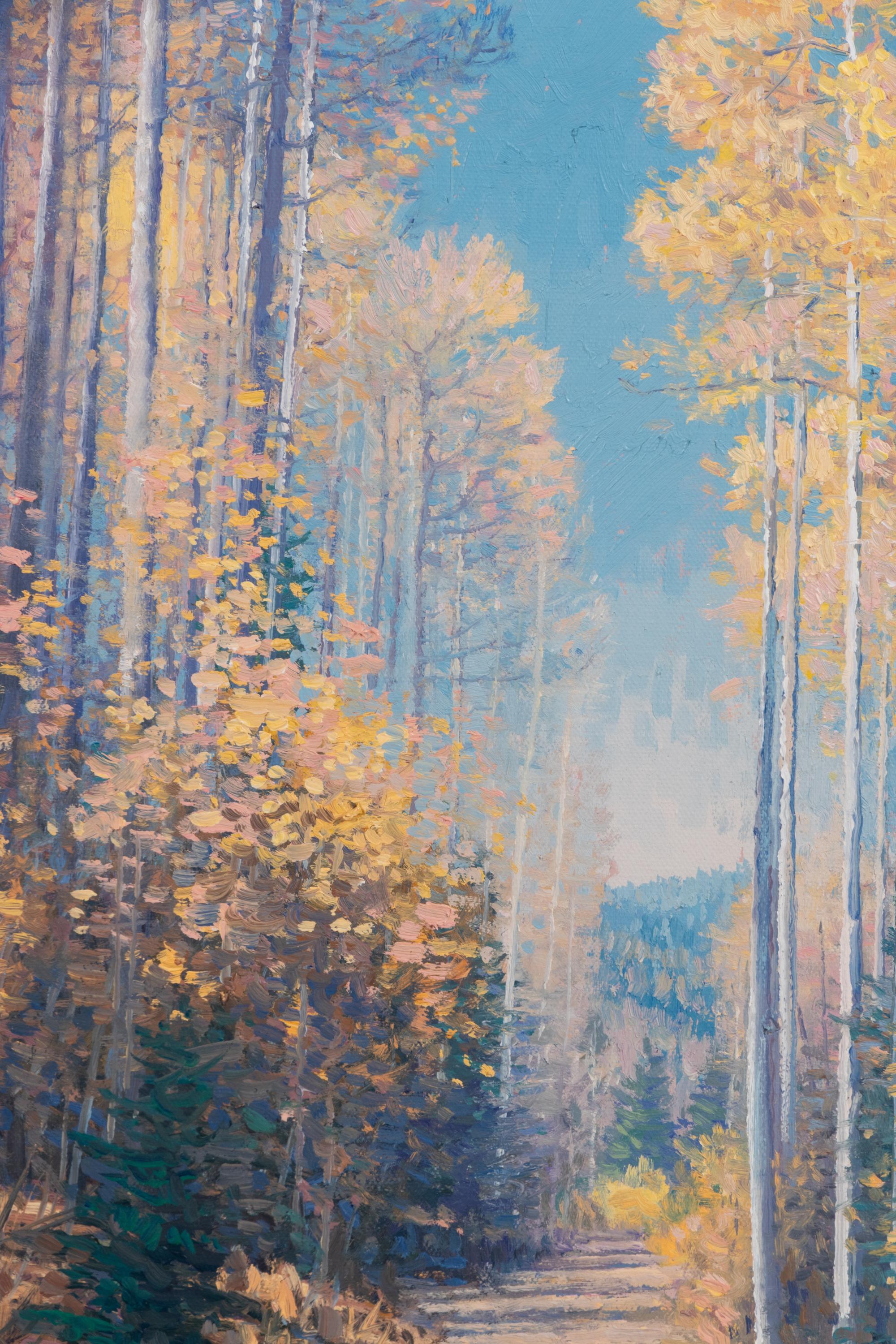 Aspen Road