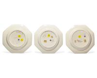 A Set of Three Wedgwood Octagonal Figural-Painted Plates for John Mortlock