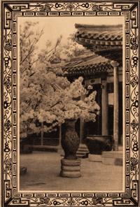 WHITE BROTHERS, Romantic China: An Album Containing Thirty-Two Photographic Studies of China's Historic Monuments and Charming Beauty Spots Complete with Descriptive and Historical Notes. Shanghai: Browhite Arts, 1930