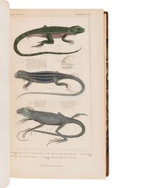 CUVIER, Georges L.C. Baron (1769-1832). The Animal Kingdom. London: G. Henderson, 1834, 1837.