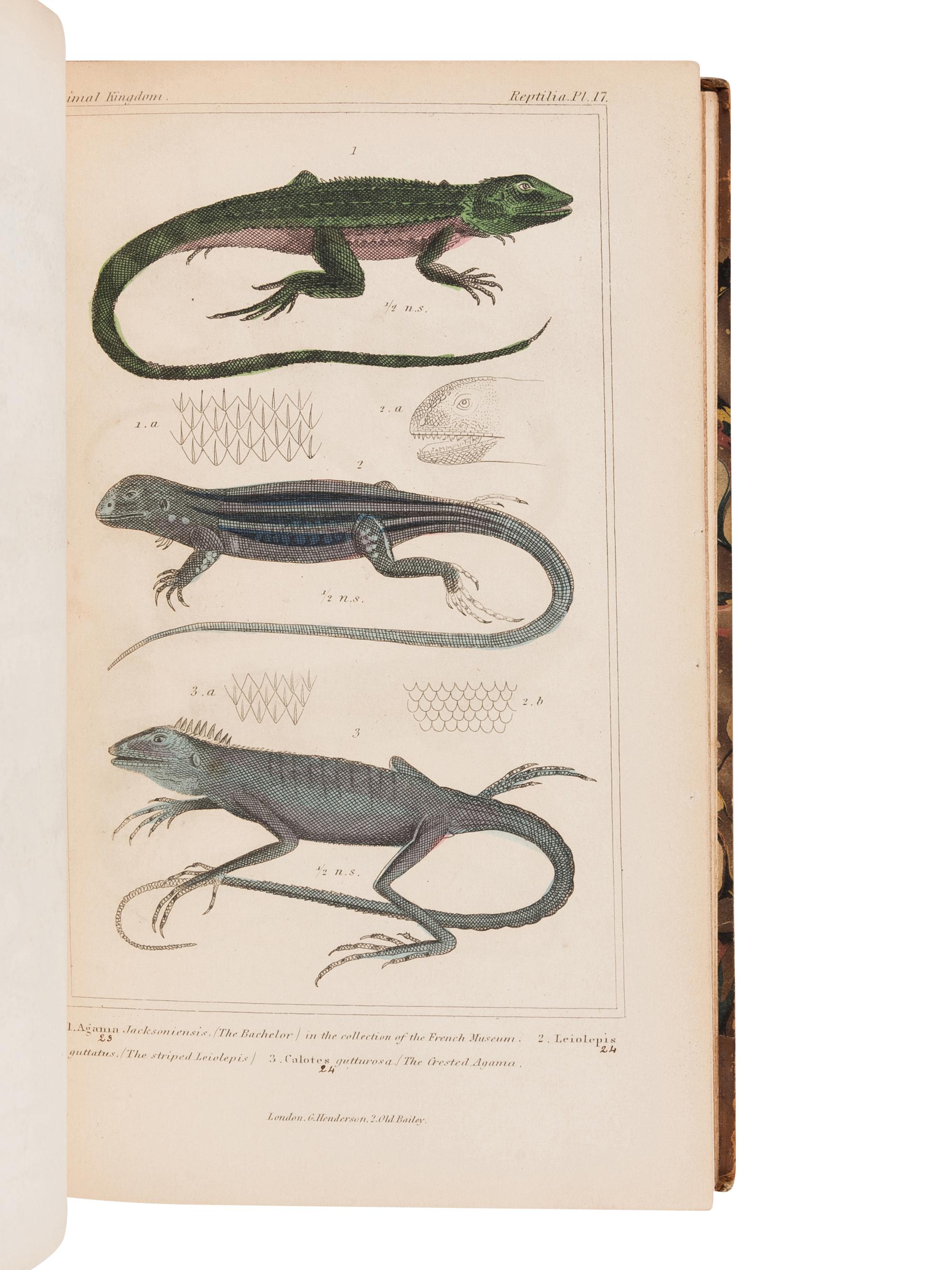 CUVIER, Georges L.C. Baron (1769-1832). The Animal Kingdom. London: G. Henderson, 1834, 1837.
