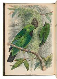WHITEHEAD, John (1860-1899). The Exploration of Kina Balu, North Borneo. London: Gurney & Jackson, 1893. FIRST EDITION.