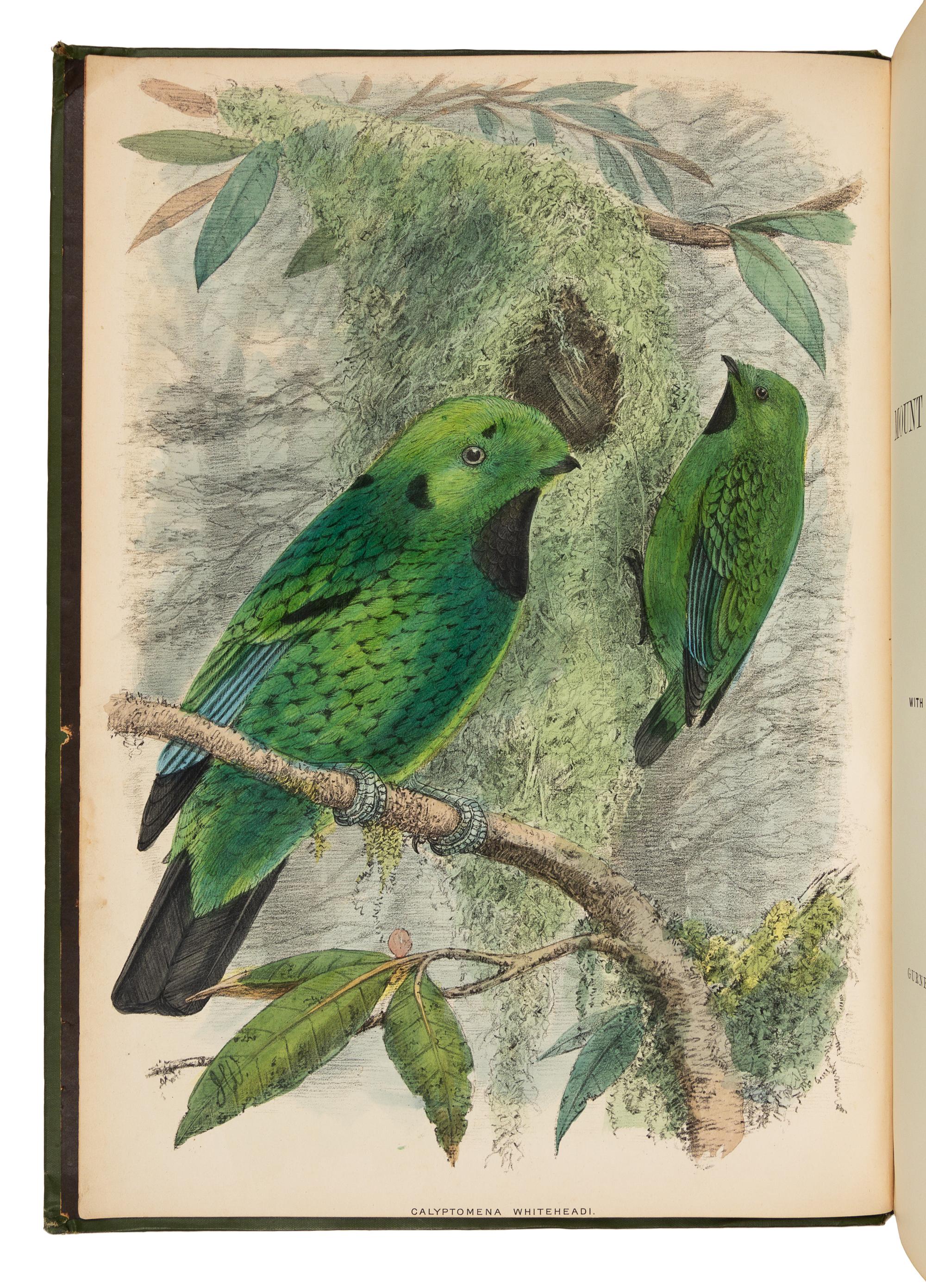 WHITEHEAD, John (1860-1899). The Exploration of Kina Balu, North Borneo. London: Gurney & Jackson, 1893. FIRST EDITION.