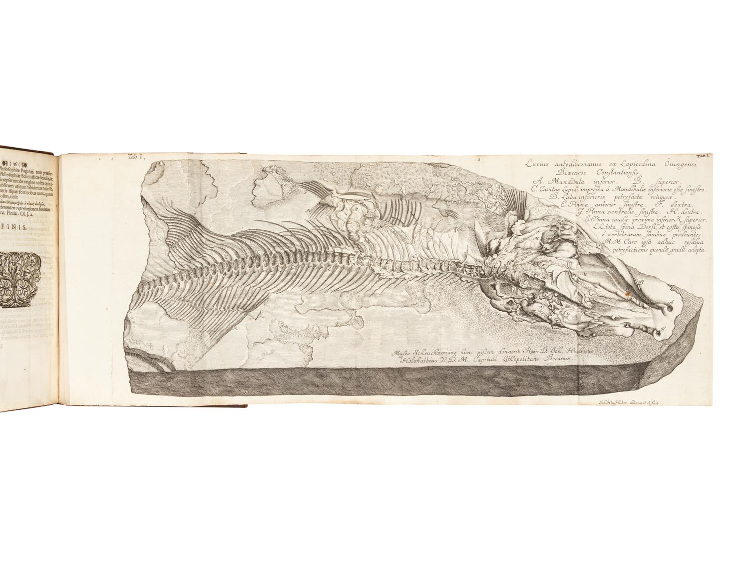 SCHEUCHZER, Johann Jakob (1672-1733). Piscium querelae et vindiciae . Zürich: Sumptibus authoris, typis Gessnerianis, 1708.
